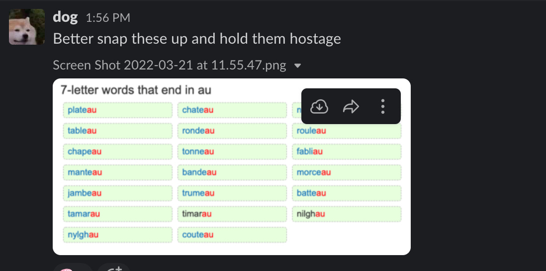 A post from dog showing some "au" domains we should buy