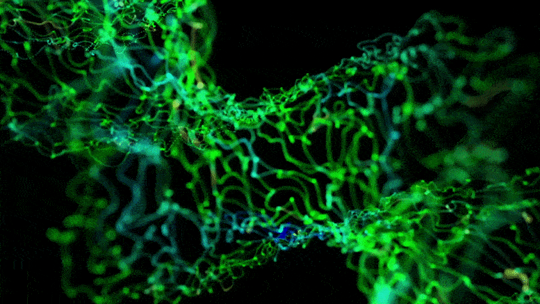 The Origin of Life on Earth: A Paradigm Shift The Origin of Life on Earth: A Paradigm Shift