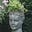 Elizabeth Lamont's avatar