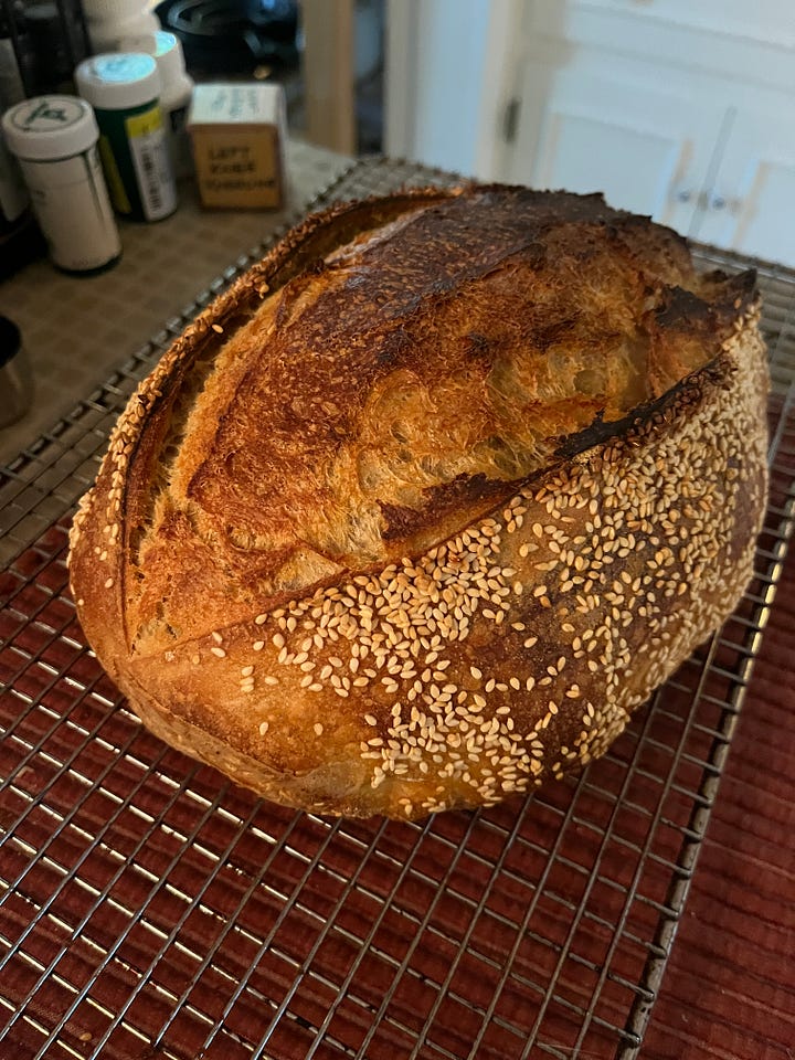 A series of four photos. Two are of my open hand holding rusty screws i've picked up off the ground. Another is a loaf of sourdough bread. Another is a smattering of daisies from the garden