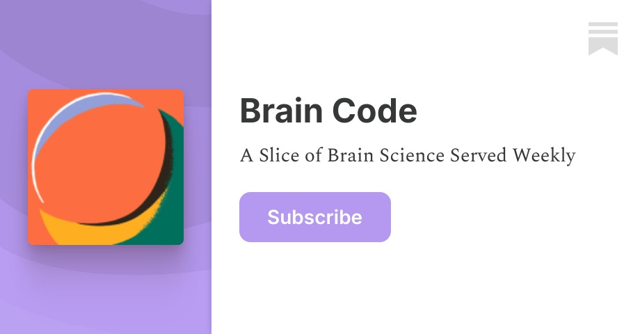 Brain Code | Wiktoria | Substack