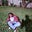 Njuguna.'s avatar