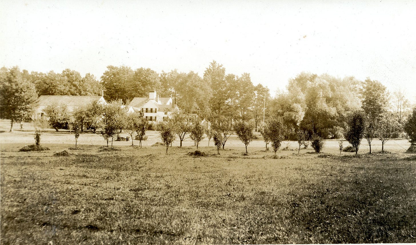 Fruit tree