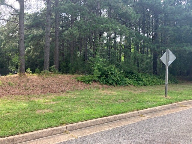 a picture of the green space where the county office center will be, and a layout of the complex