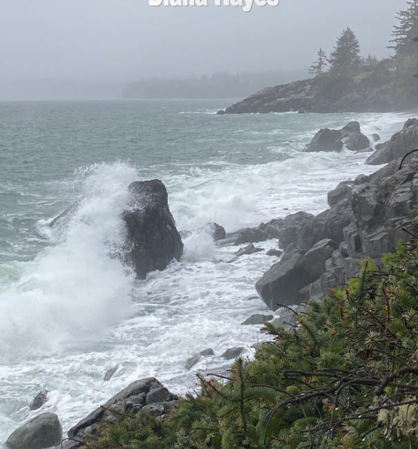 Hawking the Surf by Diana E. Hayes