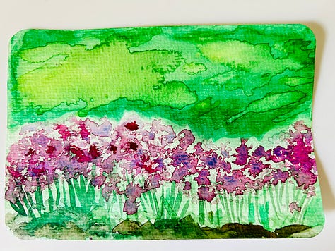 Snapshots of a lakeside vacation in the USA