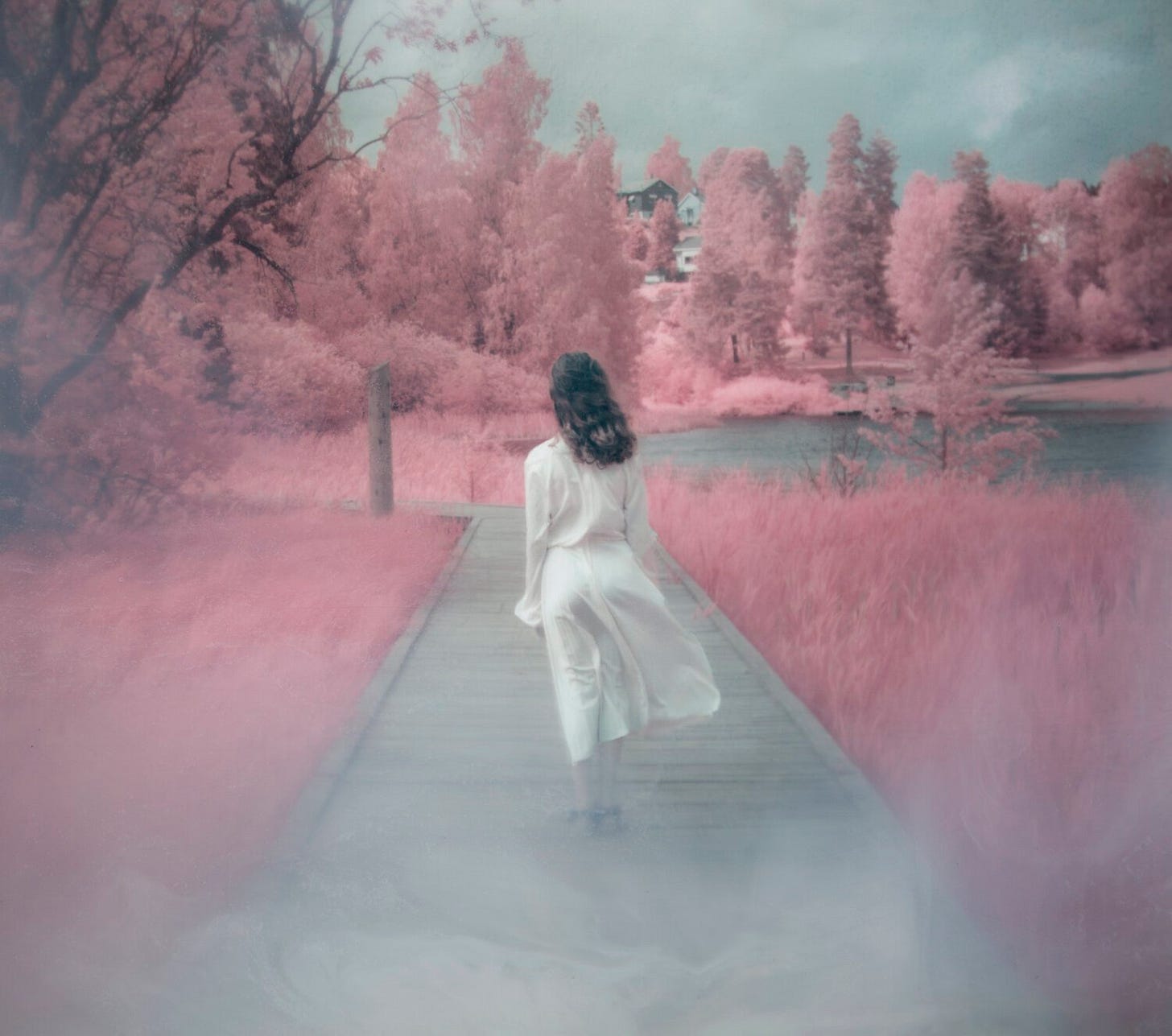 Hidden Light by Maren Klemp — The Artbo