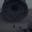 Atreides's avatar
