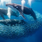 3 Digital Leviathans more wealth than three-quarters of the entire U.S. economy.