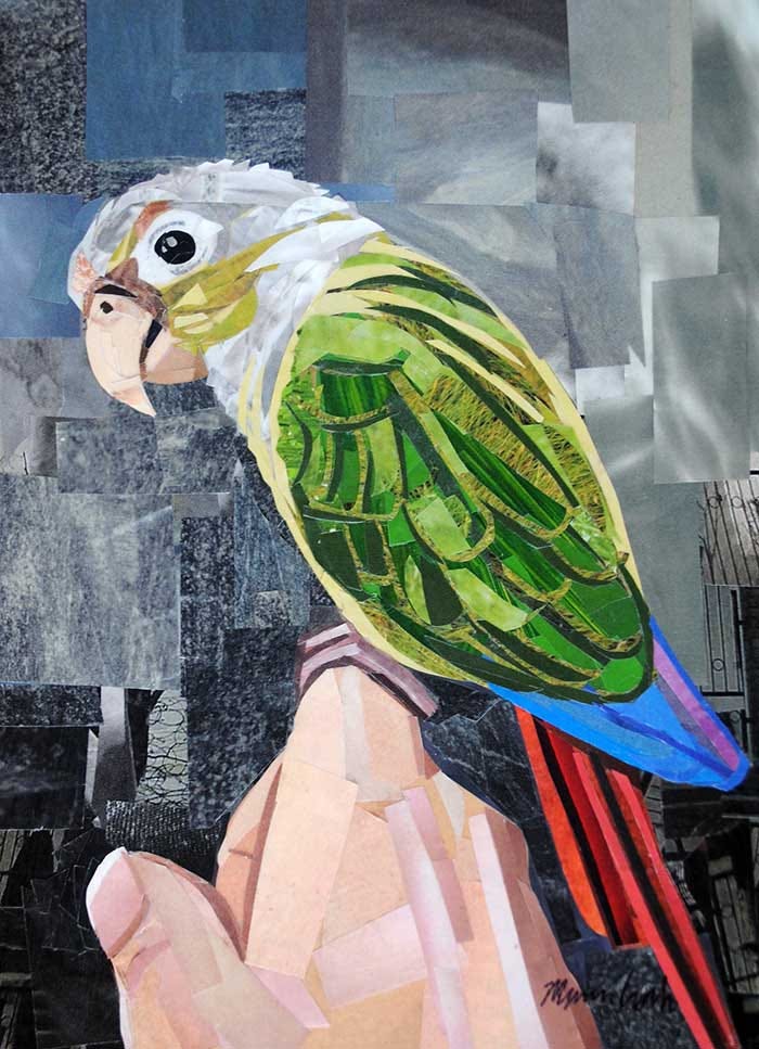 The Colorful Conure by Megan Coyle The Colorful Conure by Megan Coyle