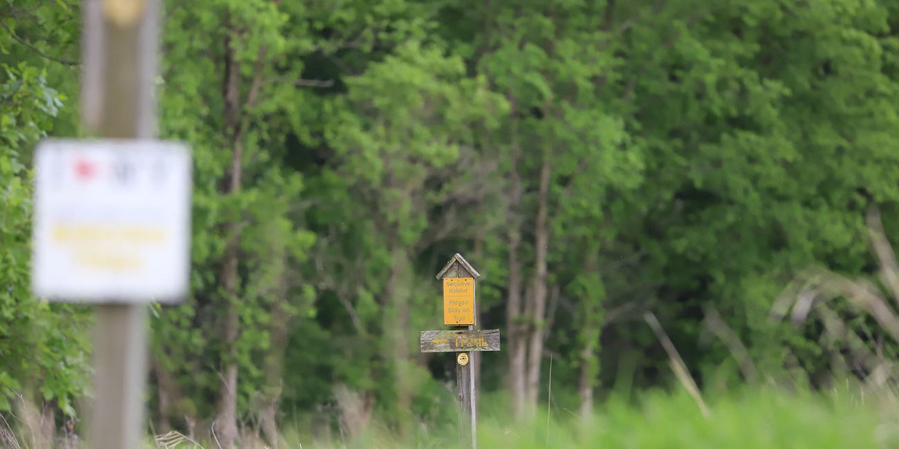 Where are the tree huggers? Millions of trees felled for commercial solar in Upstate NY 