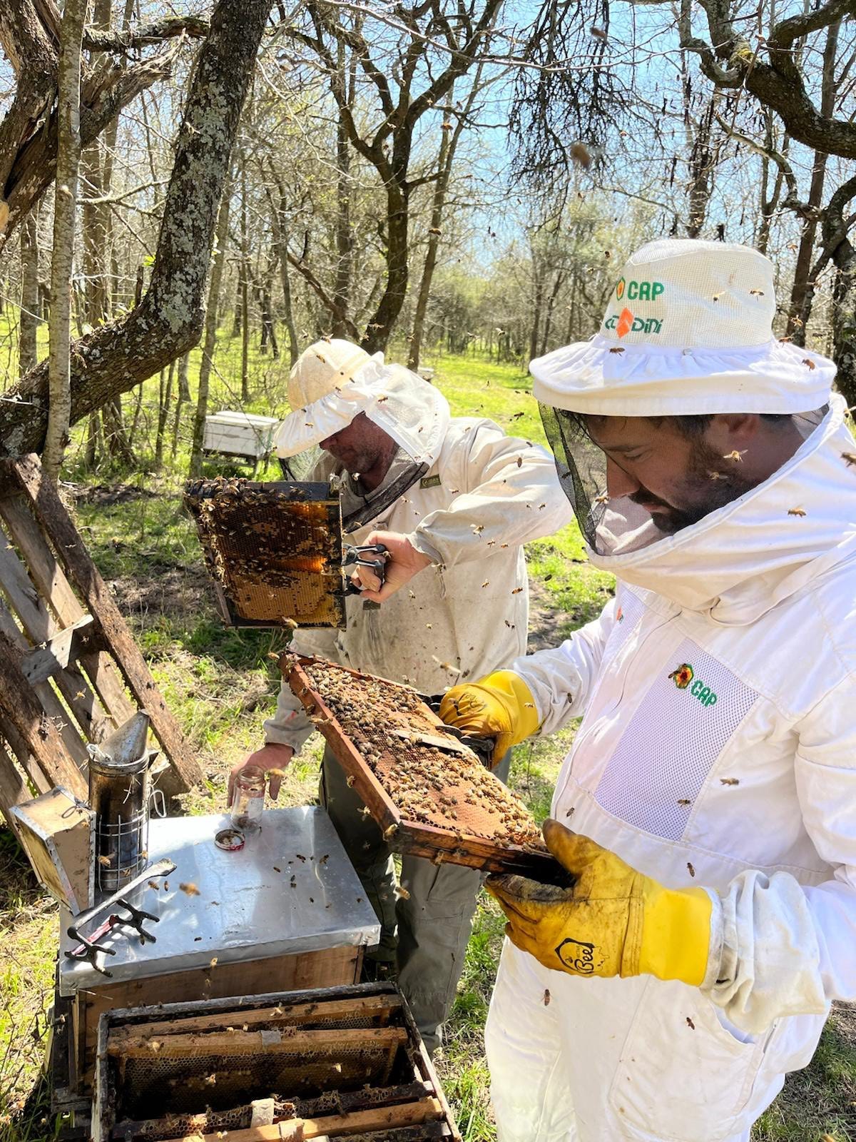 No hay ninguna descripción de la foto disponible.