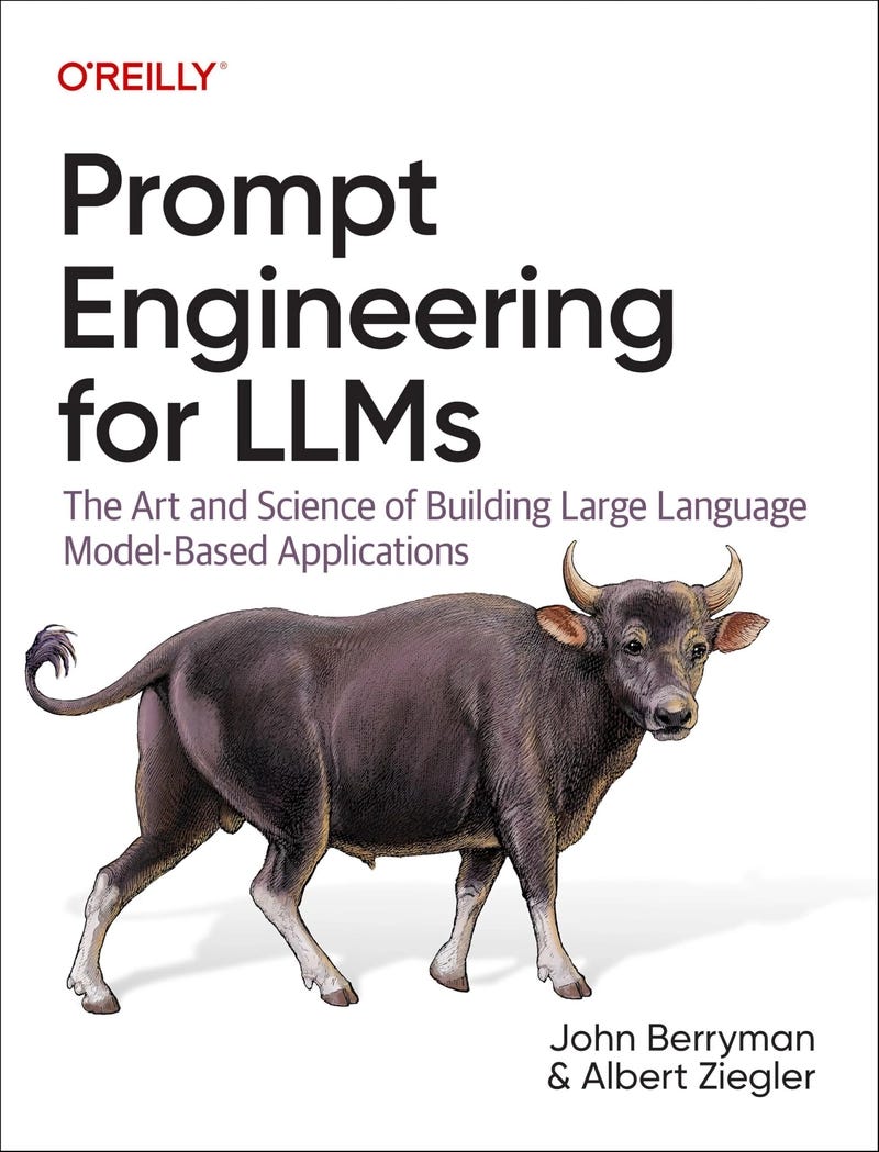 best book to learn prompt engineering