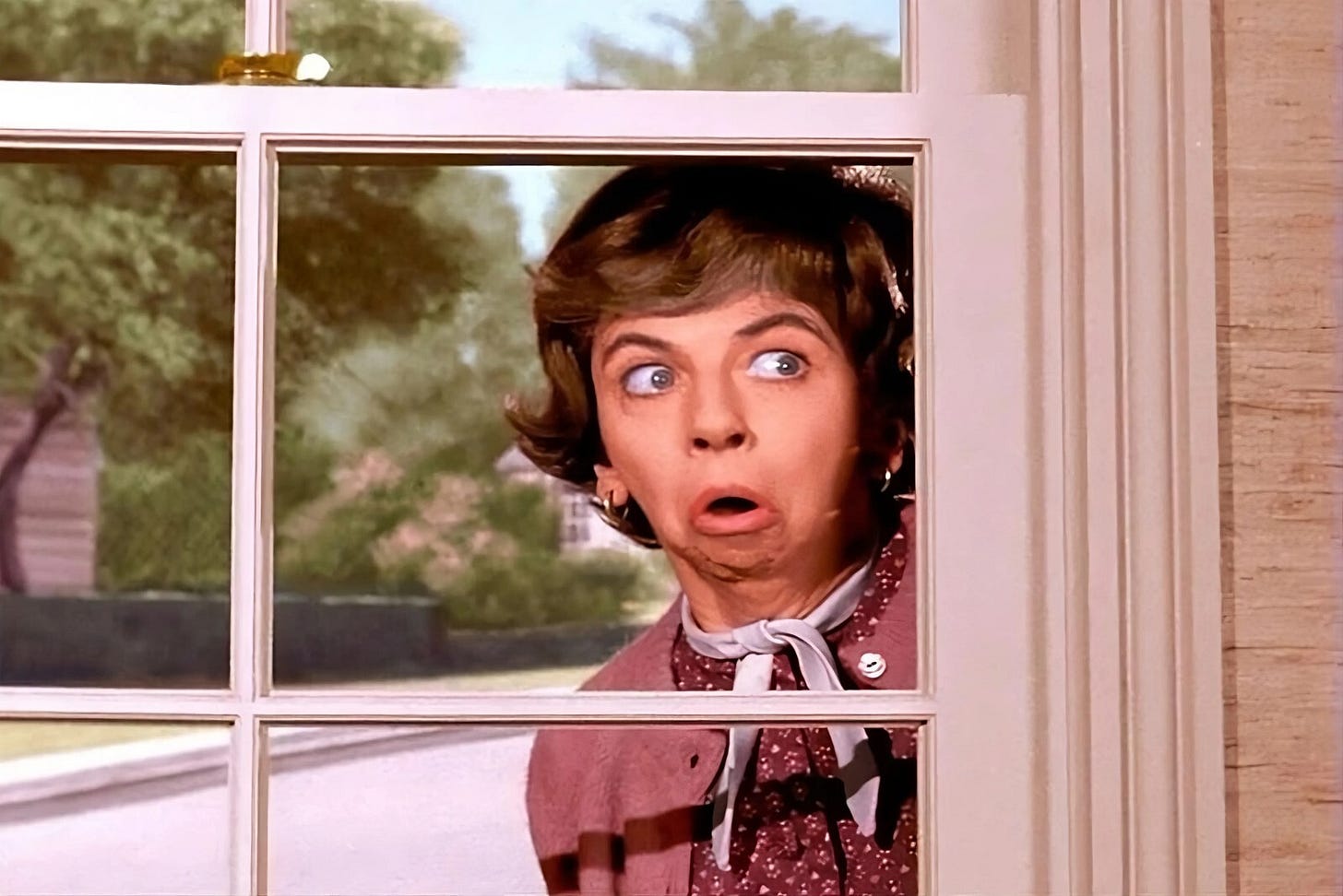 Bewitched TV Mrs. Gladys Kravitz (Nosy Neighbor Window) POSTER 24 X 18 Inches Bewitched TV Mrs. Gladys Kravitz (Nosy Neighbor Window) POSTER 24 X 18 Inches