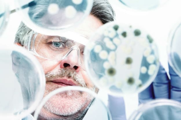 It Can Inactivate Bacteria, Viruses, Fungi, Yeast and Protozoa | What Does Ozone Therapy Do?