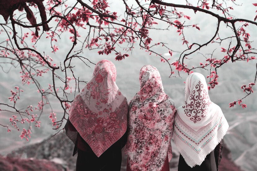 iranian wives iranian wives