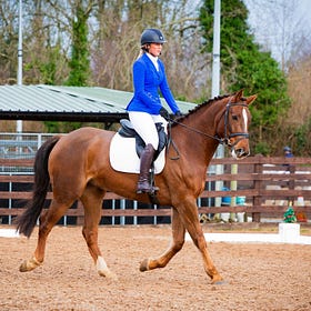 Hagans Croft gets ready for Christmas Dressage