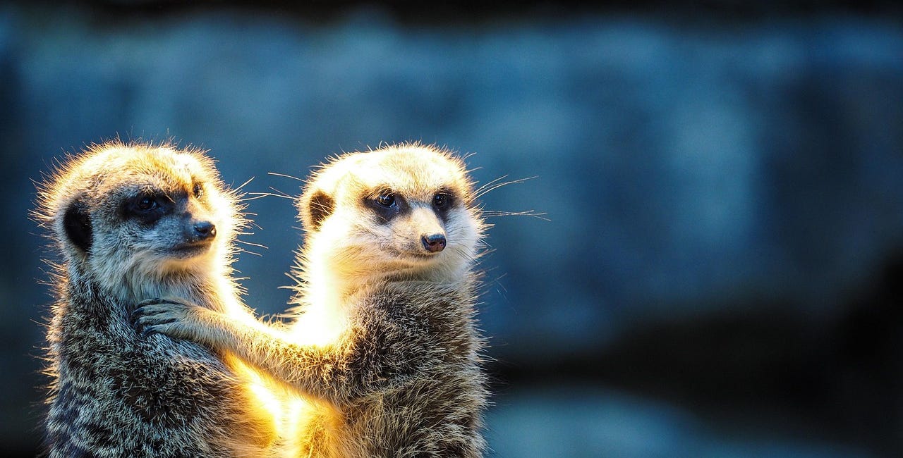 Want a sure way to change the world? Follow another's lead