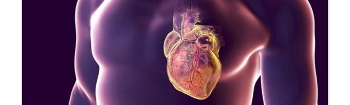 image 6.png image 6.png