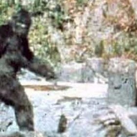 Pie Grande no existe, aunque ya tiene nombre científico válido