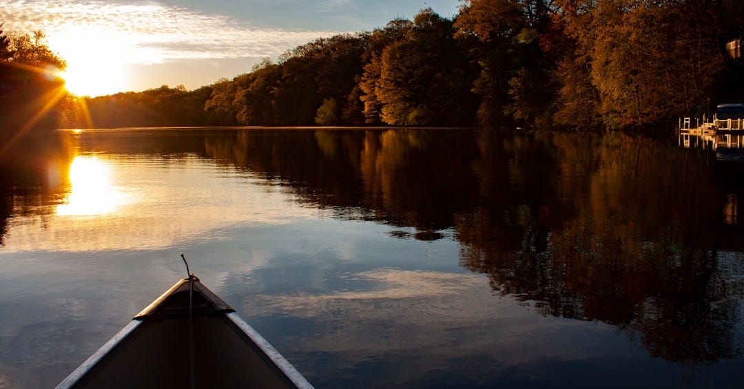 white boat on lake near trees during daytime