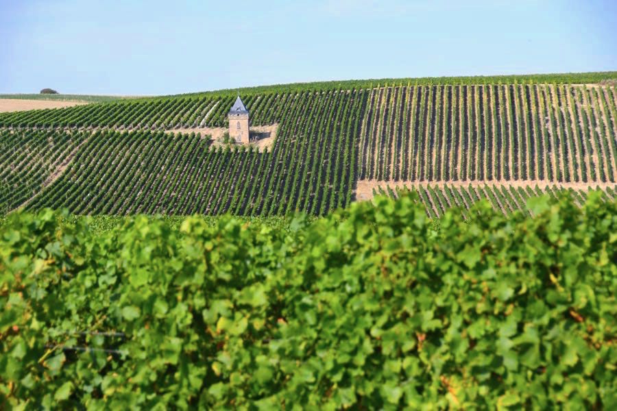 Rheinhessen Alzeyer Land Rheinhessische Schweiz