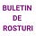 Buletinul de Rosturi - Ce rost are?