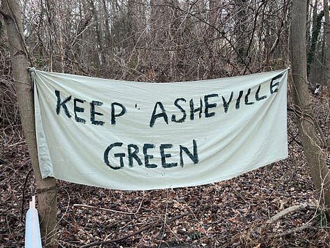 First image is a picture of an upright painted bat with pink ears hanging on a tree, second image is the entry way to the Batland Exhibit + Save the Woods party, next is a painted sign on fabric that reads KEEP ASHEVILLE GREEN, fourth is an image of the Batland Exhibit sign with Spencer Beals, my daughter, and me, fifth is a close up of the Batland Exhibit sign which is a map of the woods showing where the bats are placed- sixth is an image of a party goer with large homemade see- through bat wings posing in front of the sign, sevent is a home made painted sign that reads 'Chancellor to Helene "Hold My Beer! Watch Me Take All the Trees!" eight is an image of Spencer's painting titled "Eyes of Appalachia" and finally we have a hand made carrier pigion on a tree as part of the exhibit.