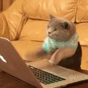 I am very busy. - GIF - Imgur