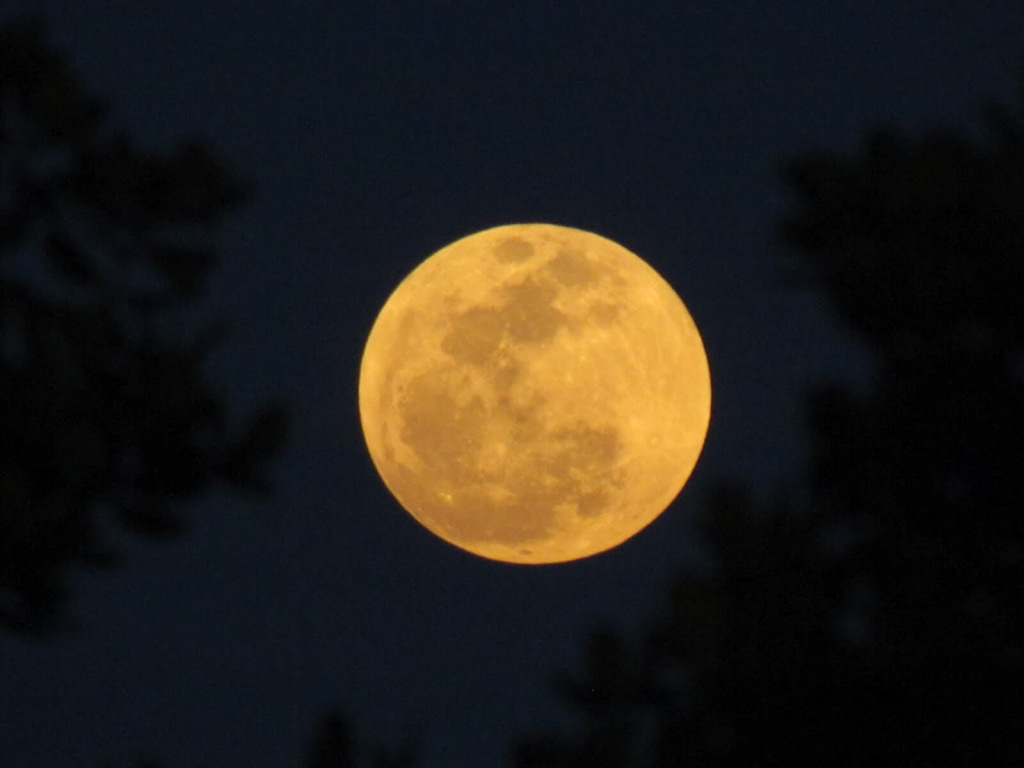 Full Moon by Chester Kalb of Key West, FL (where you see fantastic full moons) chester kalb full moon