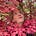 Zoe Gilbertson's avatar