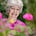 Beth Kaplan's avatar