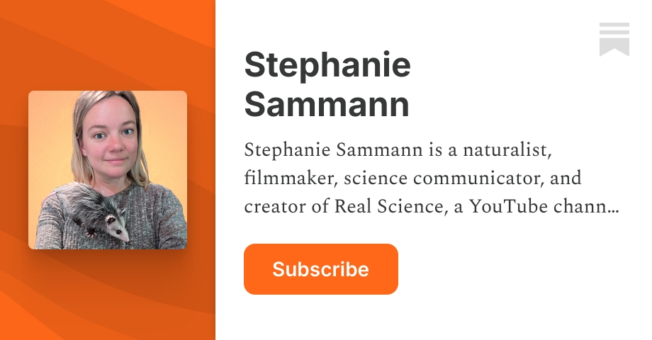 Stephanie Stack Stephanie Sammann | Substack