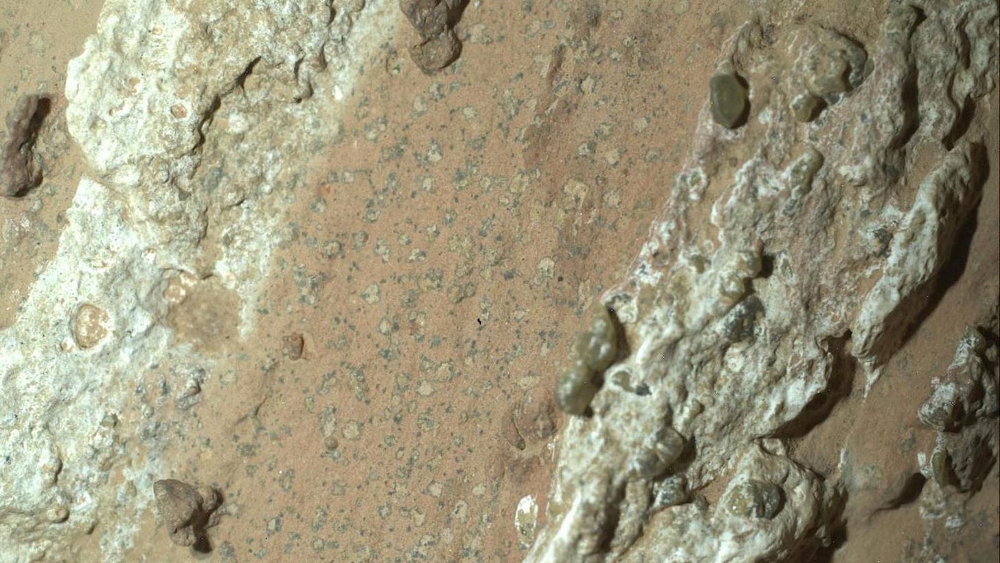 Nasa rover finds rocks on Mars with potential signs of past life - BBC News