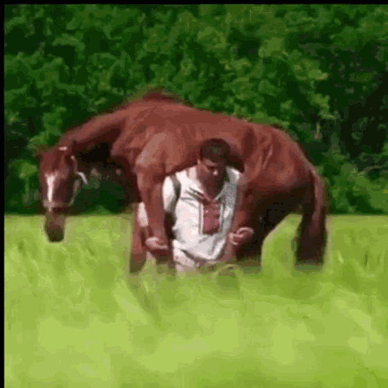 149a32cb-8de8-44c2-bdb5-b079cd23725f_560x560.gif 149a32cb-8de8-44c2-bdb5-b079cd23725f_560x560.gif