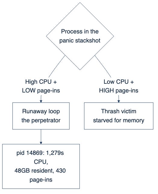Decision diagram: a process with high CPU and low page-ins is a runaway loop; low CPU and high page-ins is a memory-starved victim. The crashing Python process showed the runaway pattern.