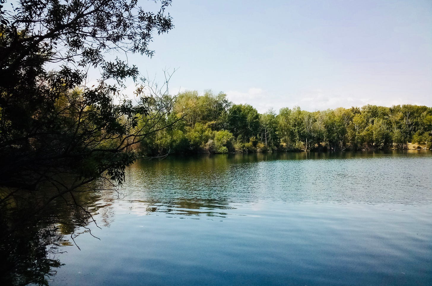 A pond in summer