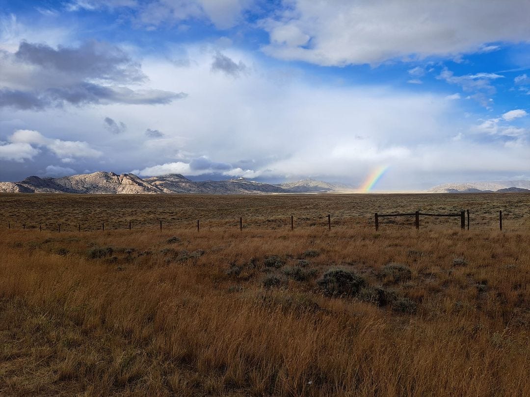 May be an image of nature