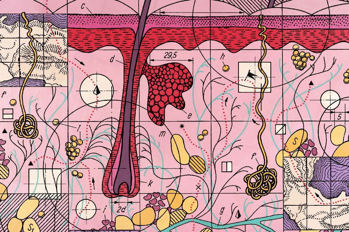 New Scientist. Science news and long reads from expert journalists, covering developments in science, technology, health and the environment on the website and the magazine.