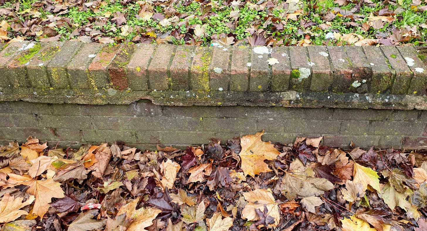 Photo of a low brick wall that is horizontal across the image. At the top, there is grass and soil, where leaves have fallen and are decomposing back into the earth. In the foreground, at the bottom of the picture, are leaves that have fallen to pavement. 
