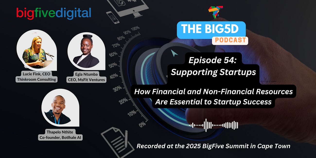 The BIG5D Podcast Ep. 54: "Supporting Startups" from the 2025 BigFive Summit