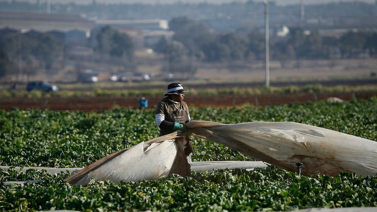 Title deeds could unlock the full potential of South Africa’s agriculture
