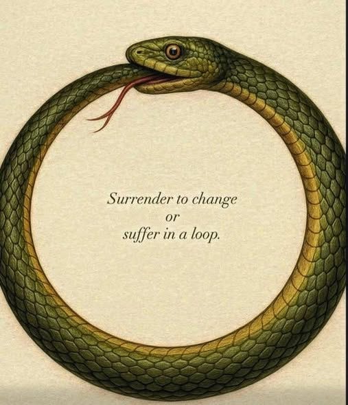 May be an image of snake and text that says "Surrender to change or suffer in a loop."