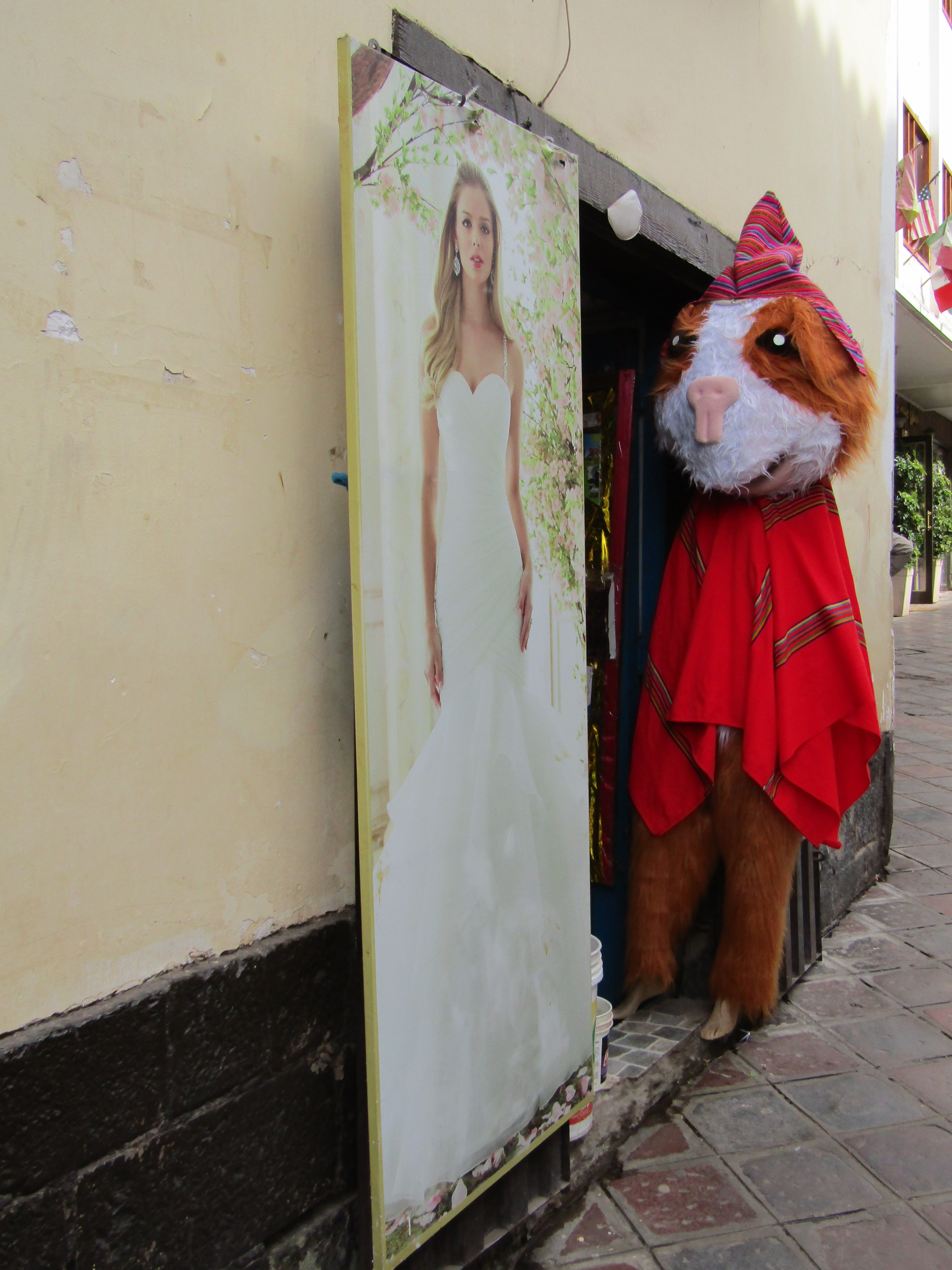 The Peculiar Parts of Peru - by Jules Torti, image size:3864x5152