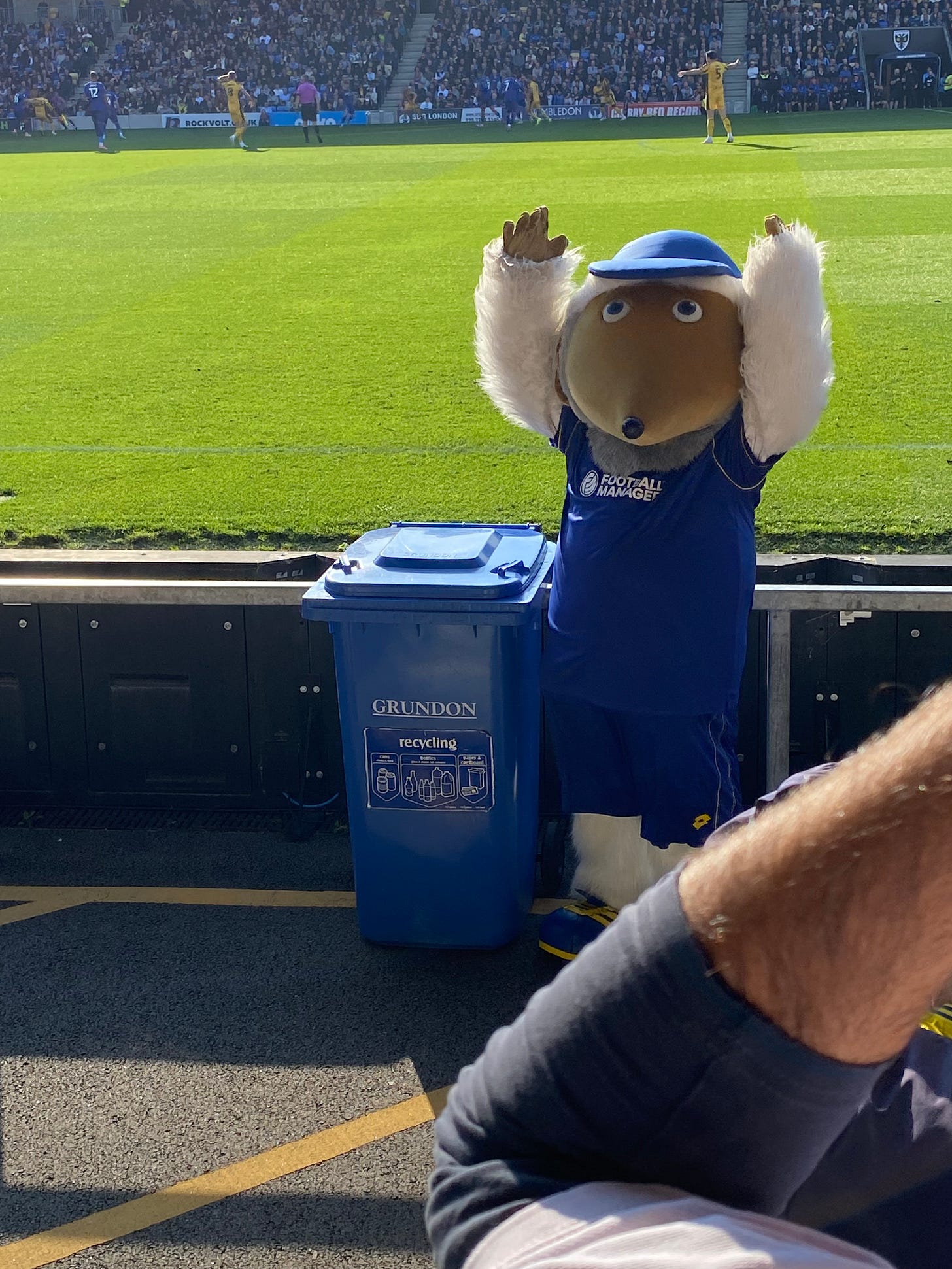 Haydon the Womble with his blue recycling bin, leading the crowd in a triumphant shout of 'Wombles!'