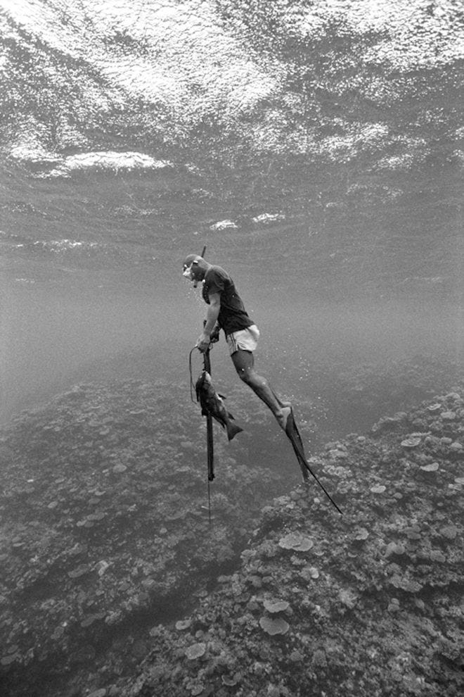 This may contain: a man is diving in the water with his scuba gear on and holding a pole This may contain: a man is diving in the water with his scuba gear on and holding a pole