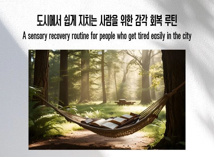 A quiet forest hammock, representing sensory recovery for people tired from city life