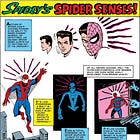 What is Naturalistic Decision-Making?