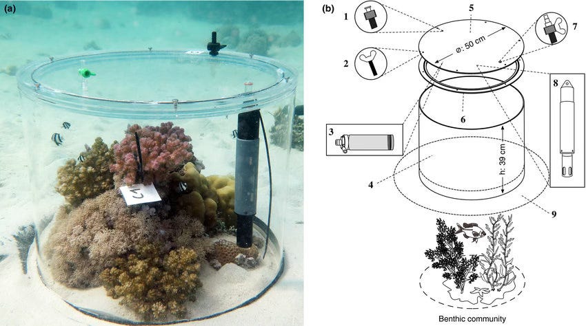Benthic chamber in situ Benthic chamber in situ