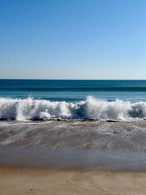 Earth day photography of mountains, palm trees, flowers, and the ocean